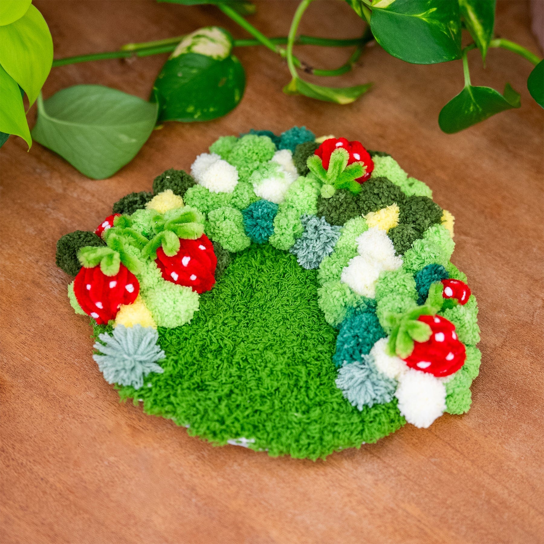STRAWBERRY -  Moss Coaster Kit