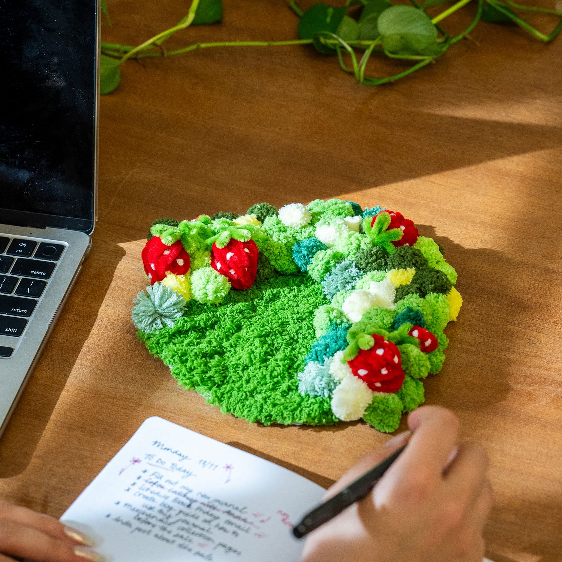 STRAWBERRY -  Moss Coaster Kit - Image 10