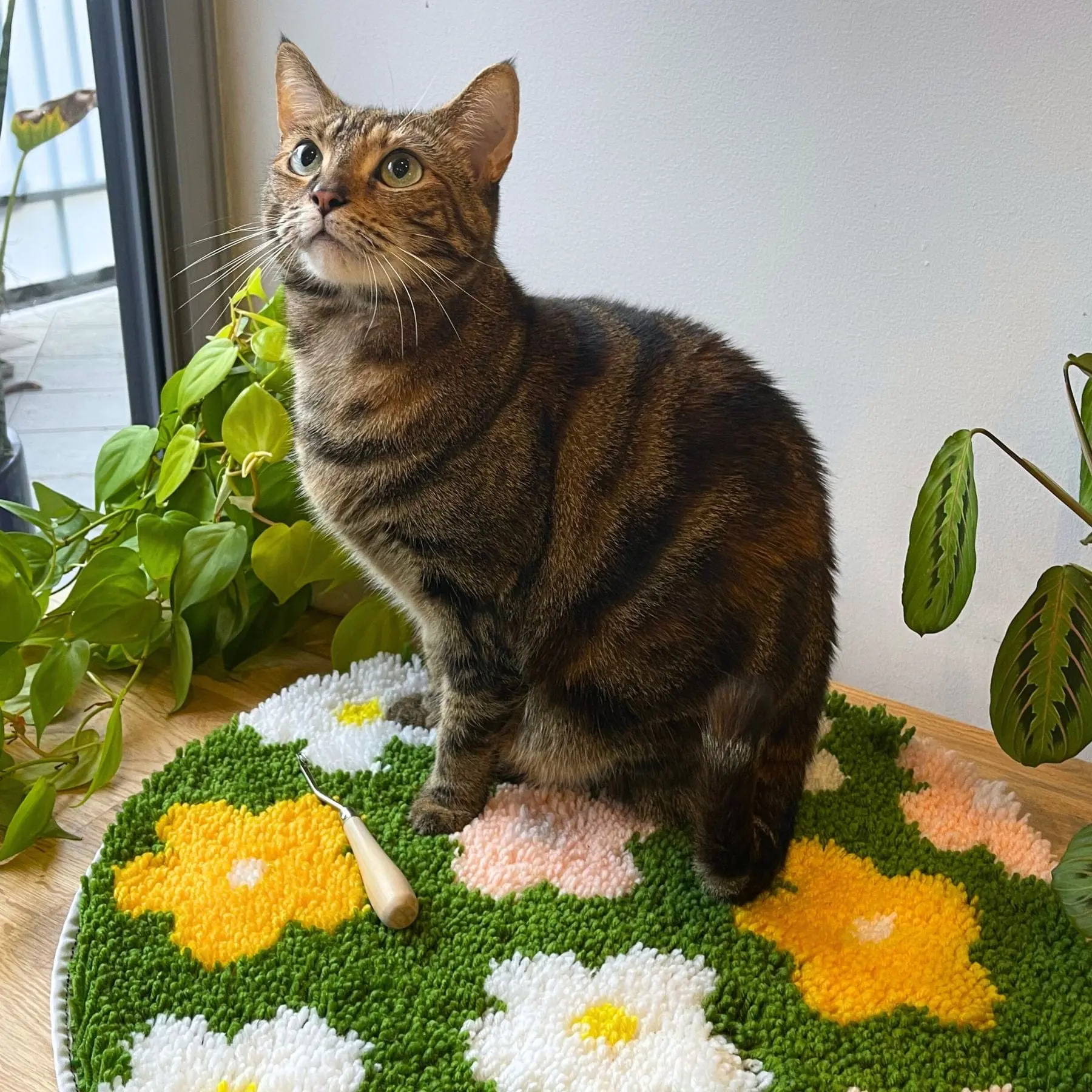 FLOWER BOMB GREEN - Rug Making Kit - Image 10