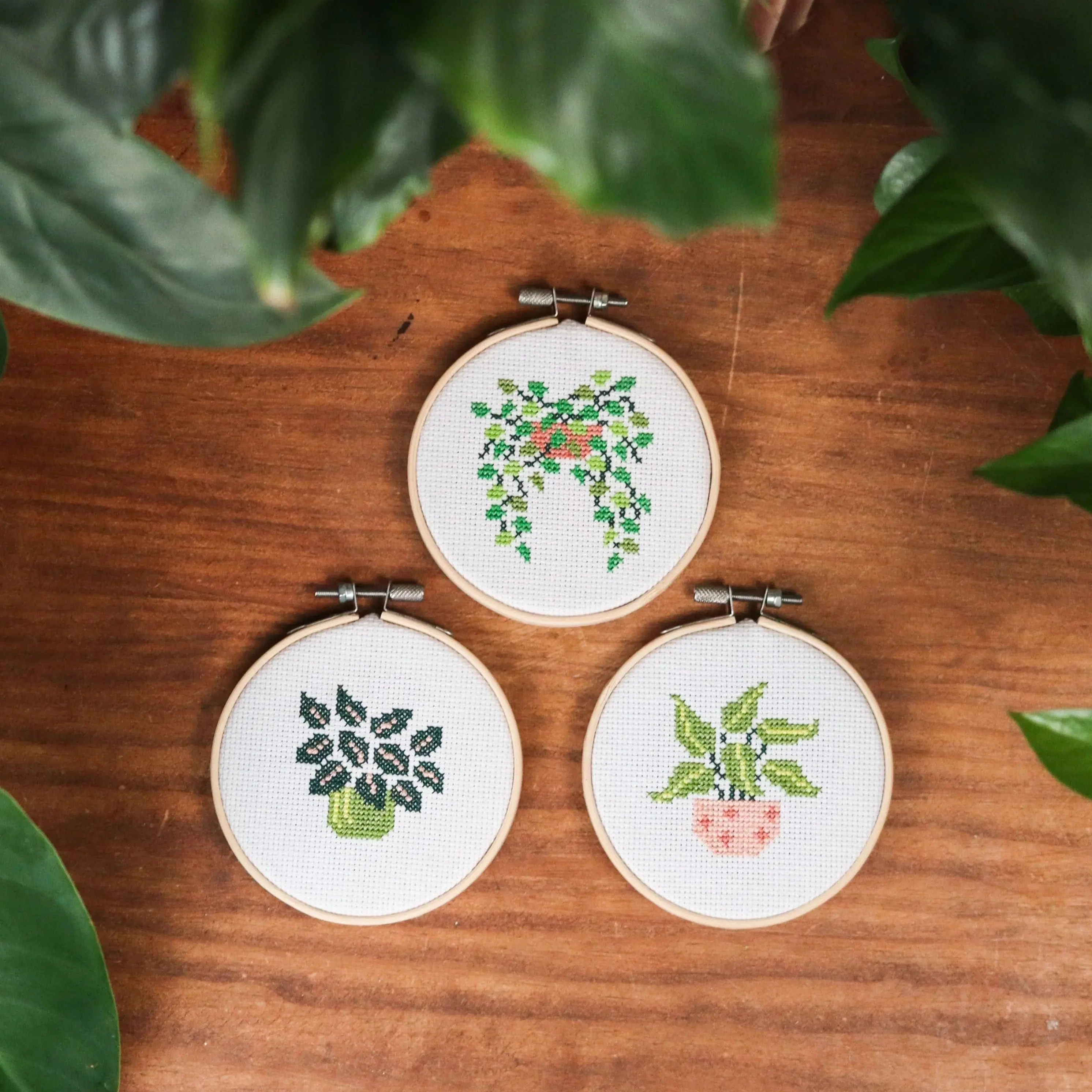 POT PLANT MINIS - Cross Stitch Kit - Image 11