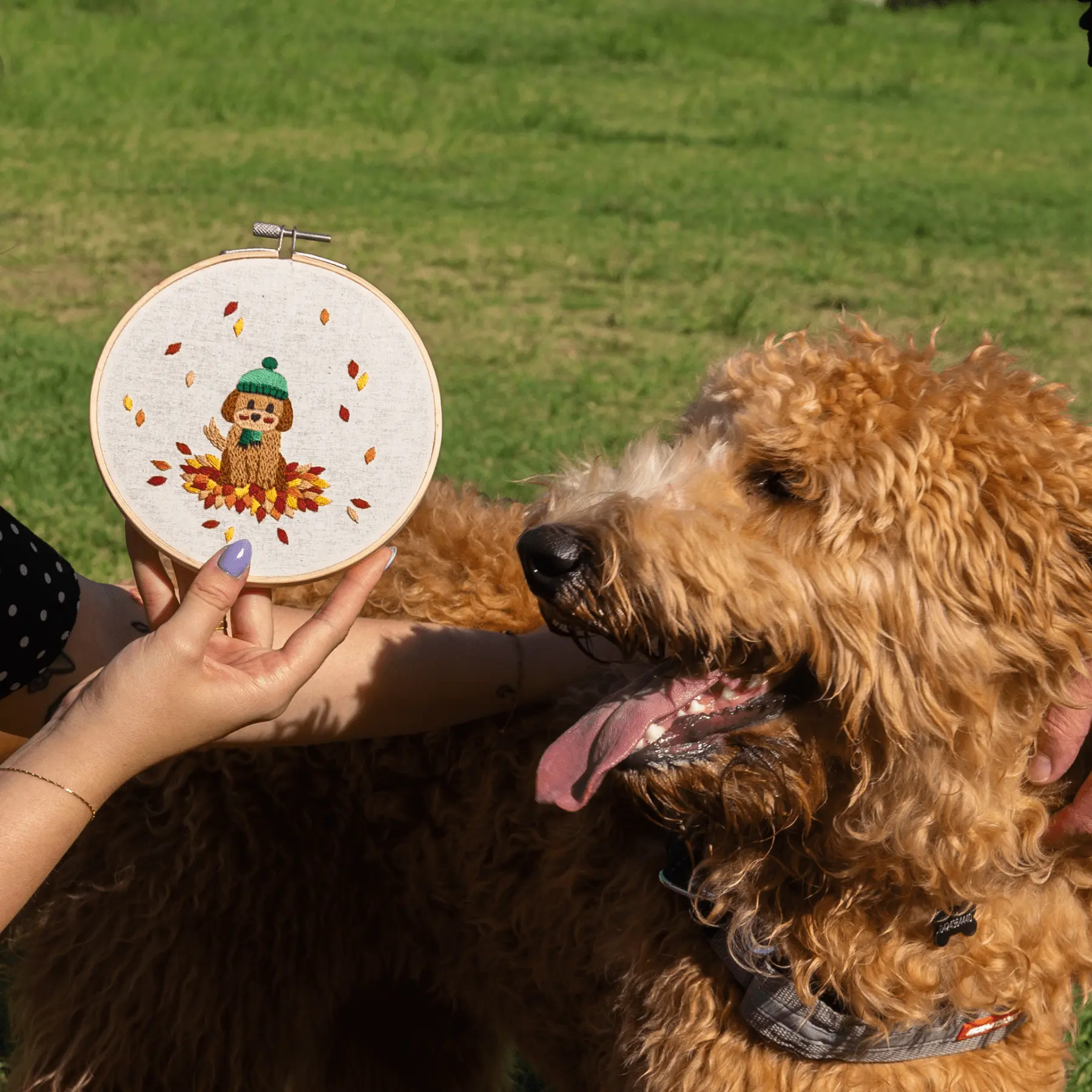 RUFF & TUMBLE - Embroidery Kit - Image 5