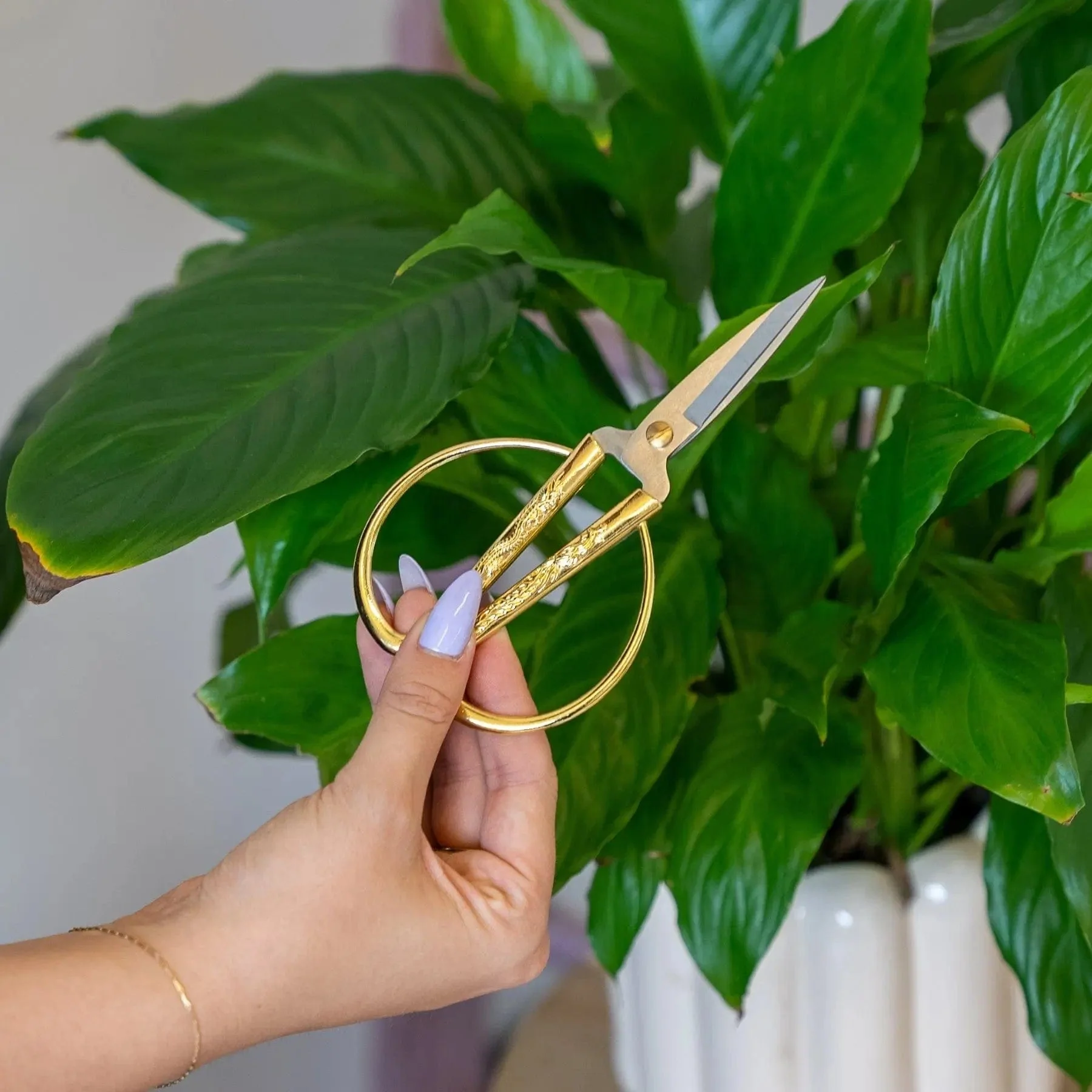 Gold Rug Trimming Scissors - Image 7
