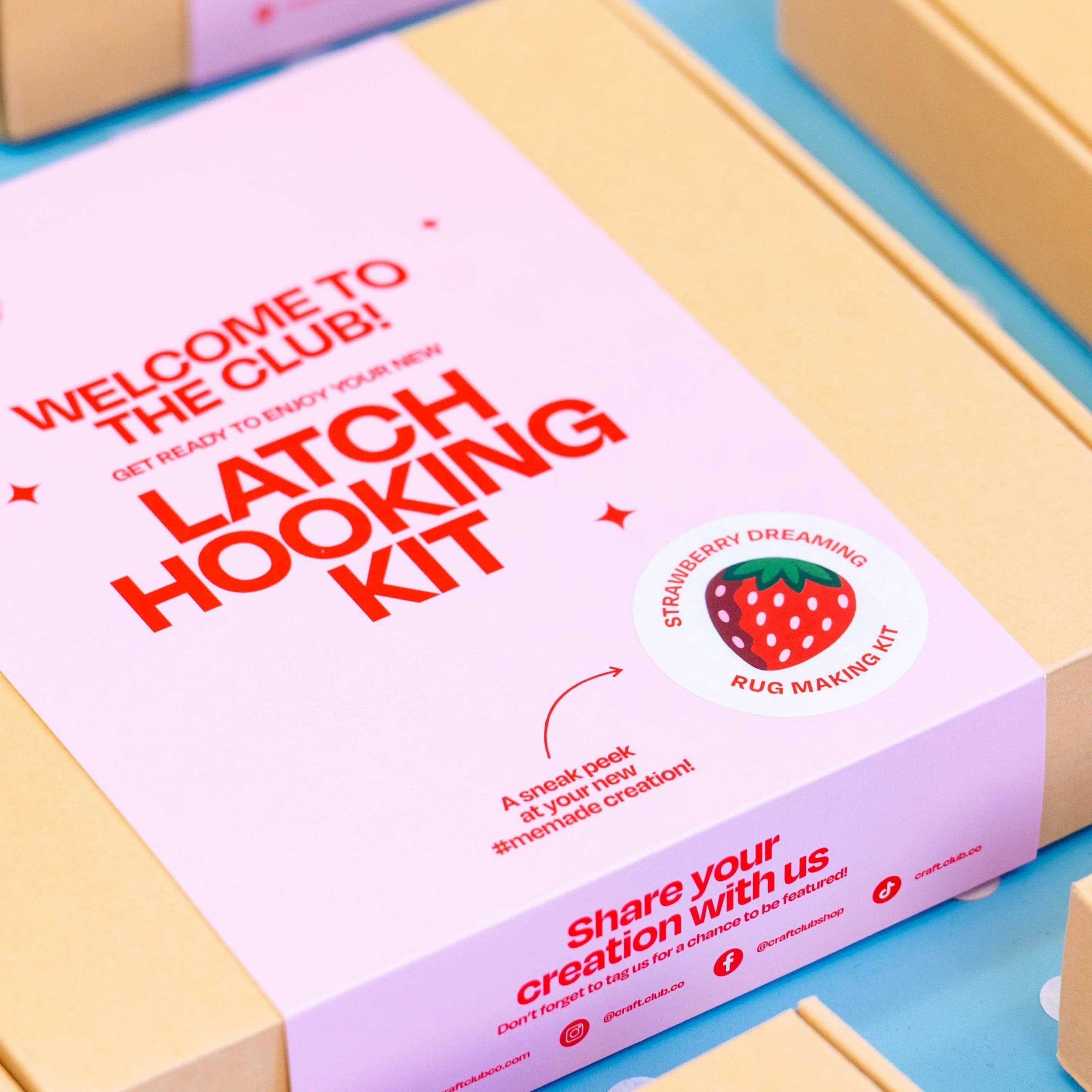 STRAWBERRY DREAMING - Rug Making Kit - Image 4