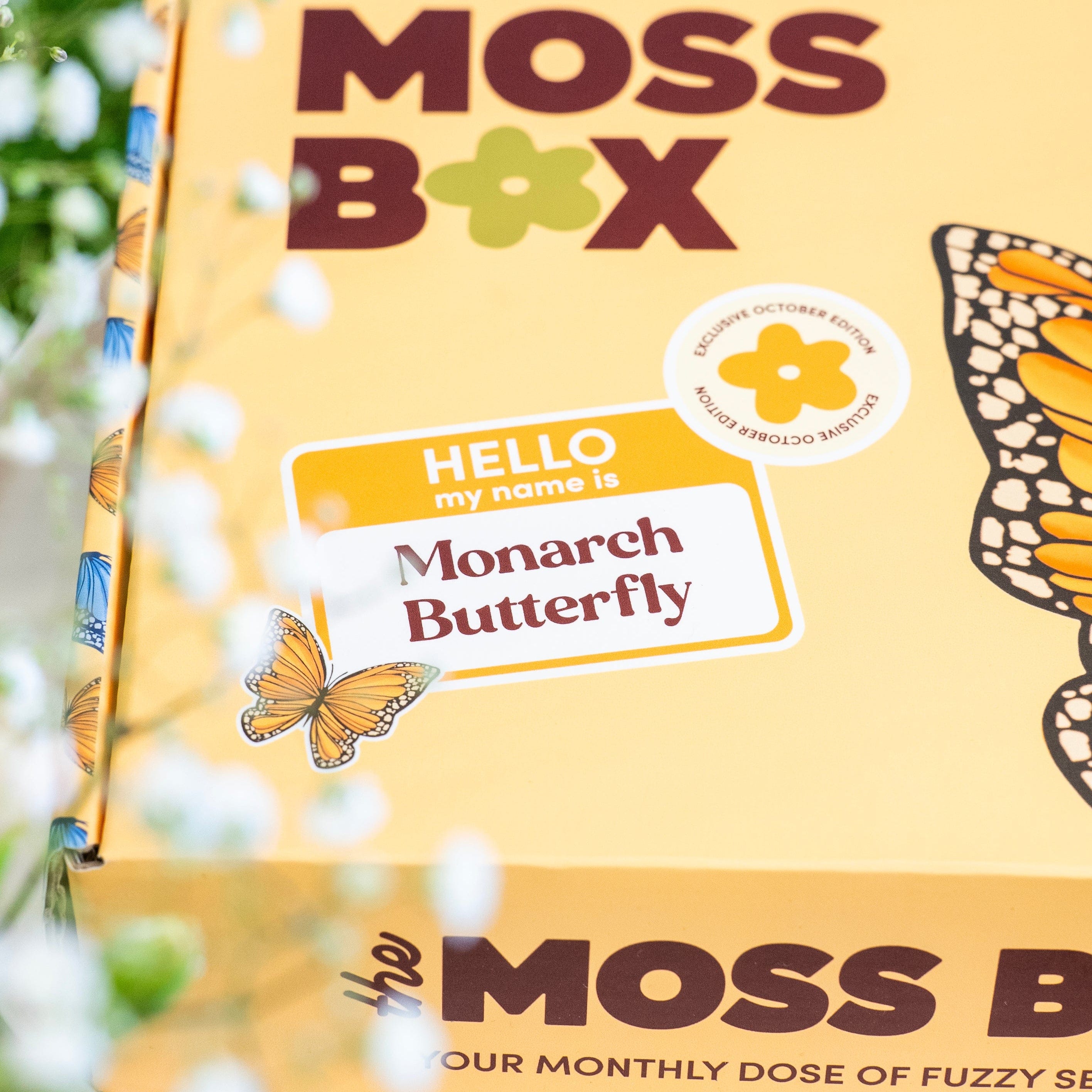 Monarch Butterfly - Moss Coaster Kit - Image 9